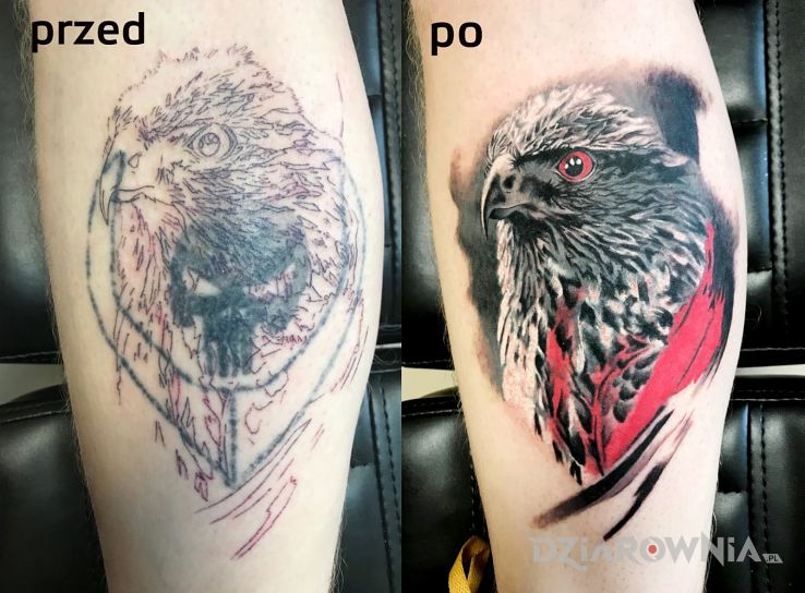 Tatuaż cover up orzeł - realistyczne