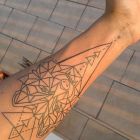 Kontury wilka przedramie