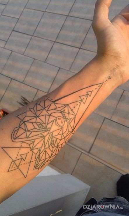 Tatuaż kontury wilka przedramie - zwierzęta