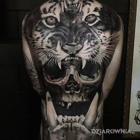 Tygrys i czaszki