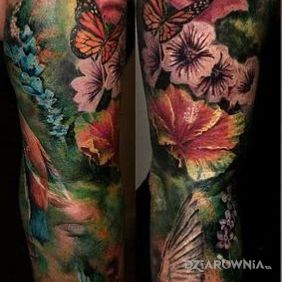 Kolorowo i realistycznie