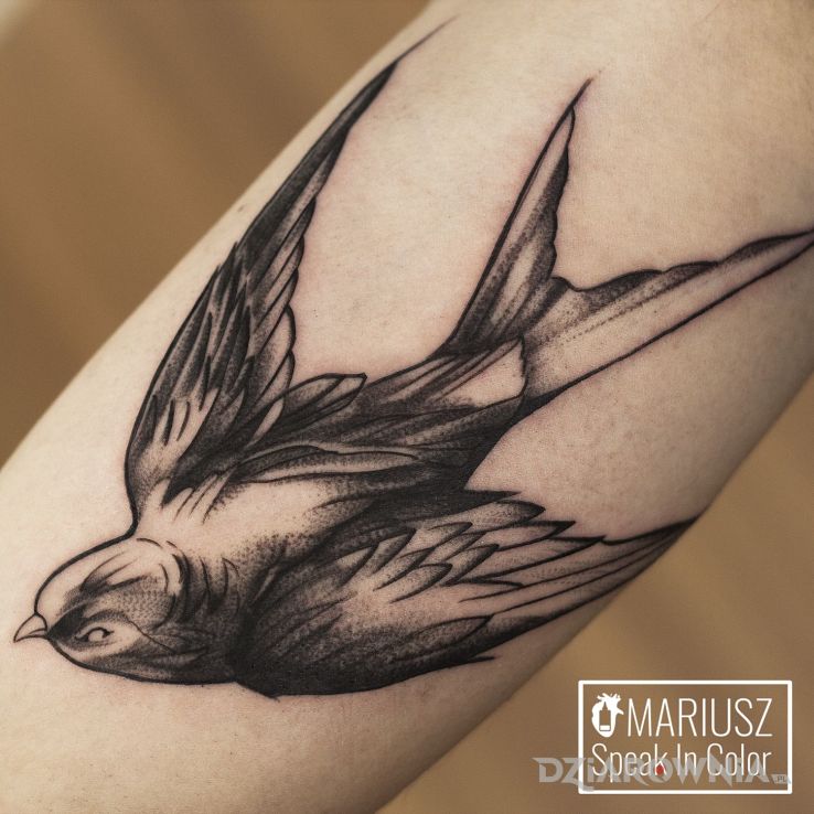 Tatuaż jaskółka - zwierzęta