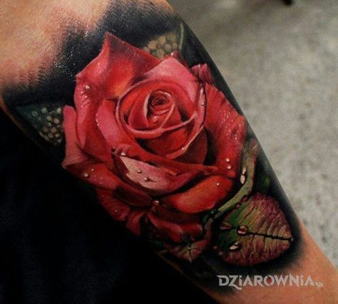 Tatuaż czerwona róża - kwiaty