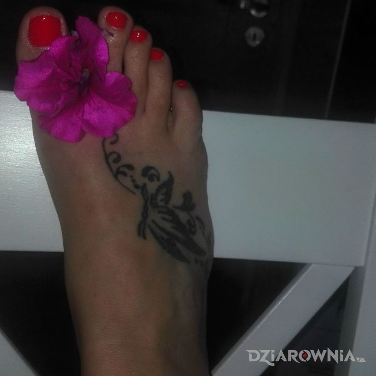 Tatuaż motyl all - motyle