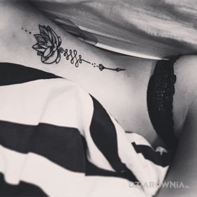 Pierwszy ,ale nie ostatni :)