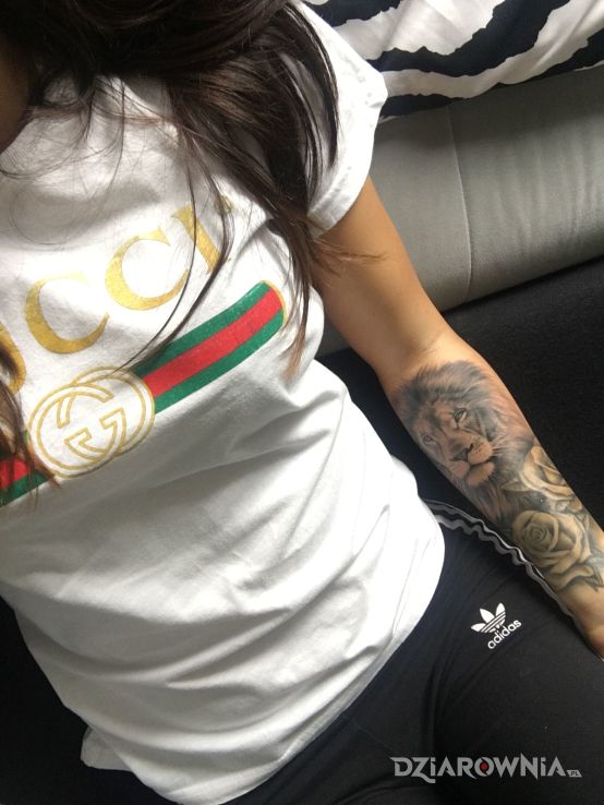 Tatuaż lion - zwierzęta