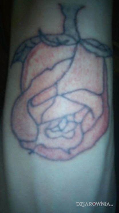 Tatuaż samorubka - kwiaty