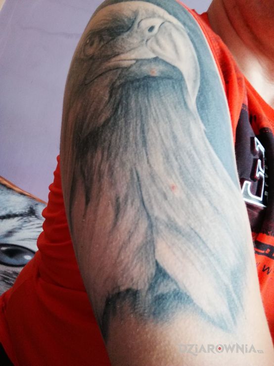 Tatuaż mój pierwszy tatuaż - zwierzęta