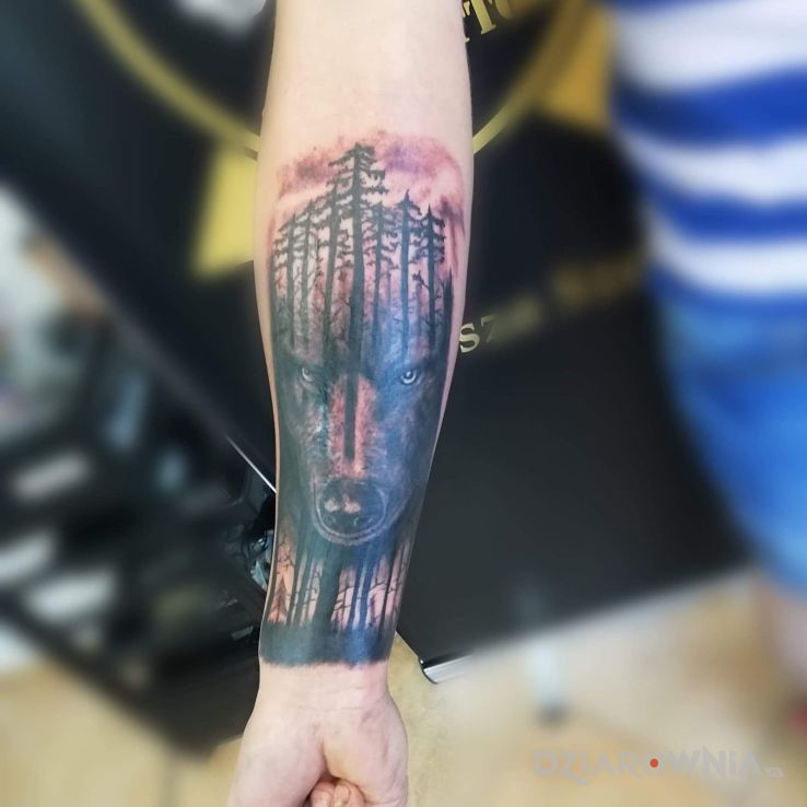 Tatuaż wilk w ciemnym lesie - zwierzęta