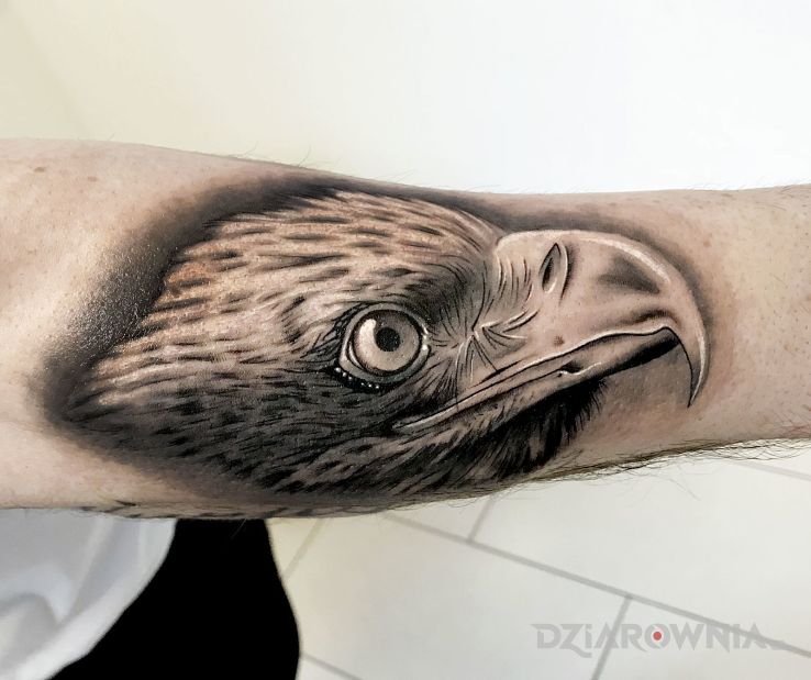 Tatuaż orzeł - zwierzęta
