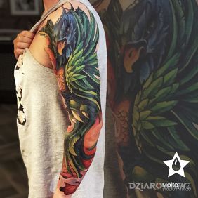 Rękaw kolorowy z motywem feniksa