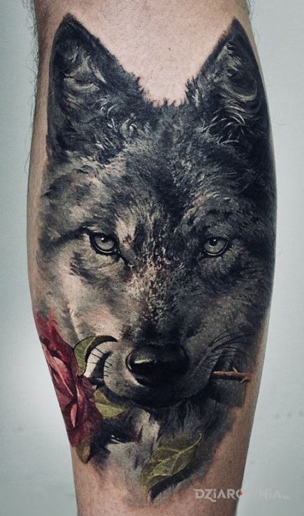 Tatuaż wilk z roza - zwierzęta