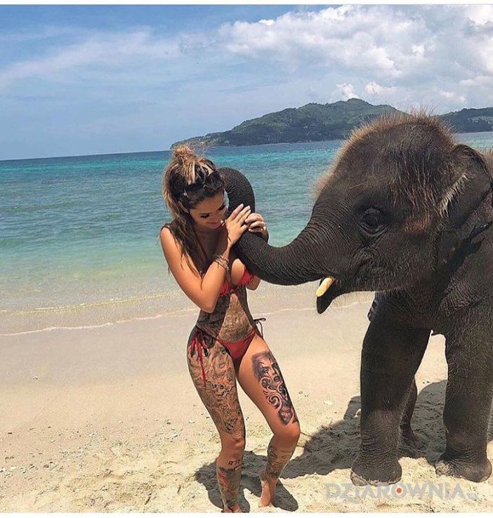 Tatuaż halo - twarze