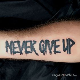 Never Give Up
