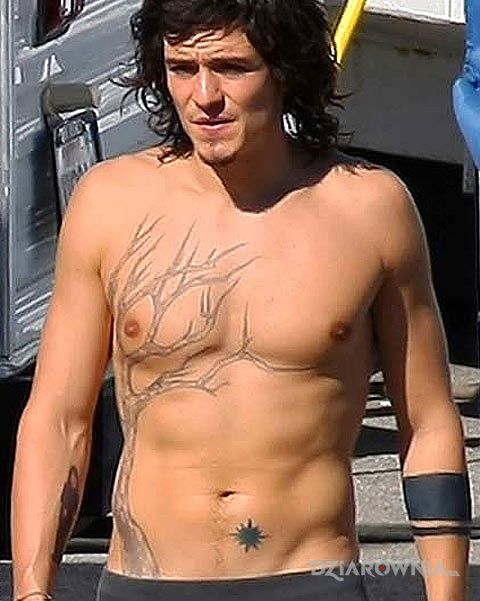 Tatuaż orlando bloom - tatuaż drzewo i gwiazdka - sławnych osób