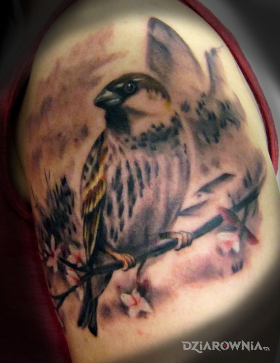 Tatuaż wróbelek  - zwierzęta