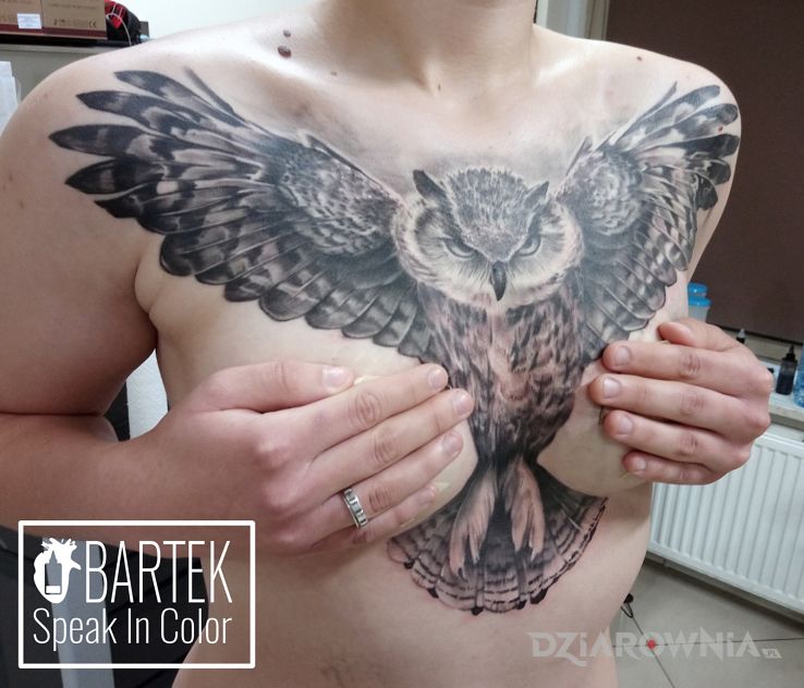 Tatuaż sówka - zwierzęta