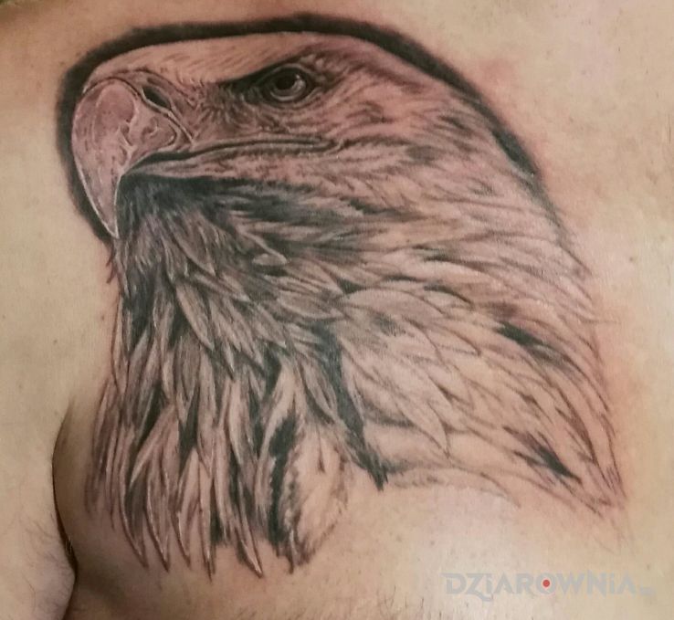 Tatuaż orzeł - zwierzęta