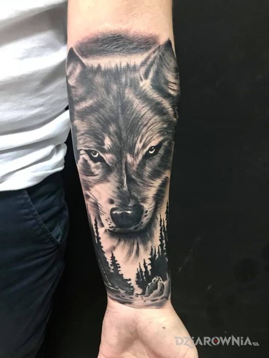 Tatuaż wilk - zwierzęta