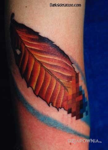 Tatuaż listek 2 - pozostałe