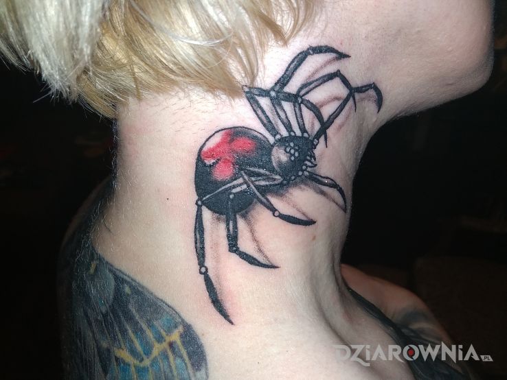 Tatuaż pajak - zwierzęta