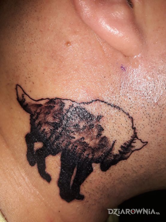 Tatuaż wilk - zwierzęta