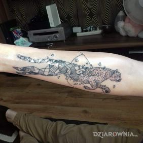 Geometryczny lampart