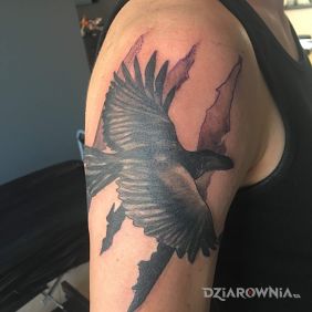 "Biały" kruk inny niż wszyscy