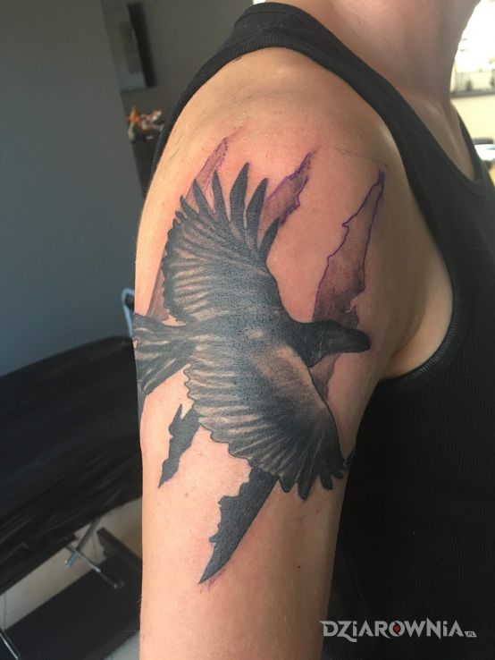 Tatuaż biały kruk inny niż wszyscy - zwierzęta
