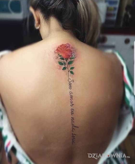 Tatuaż róża i napis - kwiaty