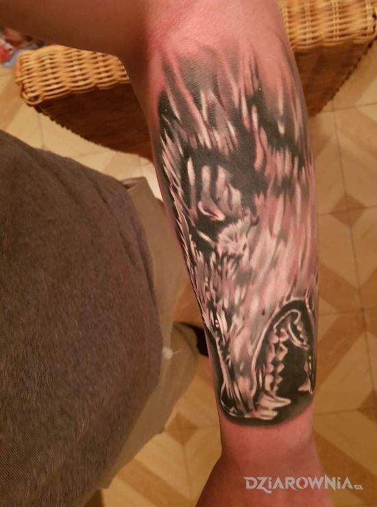 Tatuaż oto mój wilczek - zwierzęta