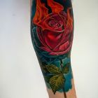 Róża w płomieniach