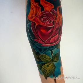 Róża w płomieniach