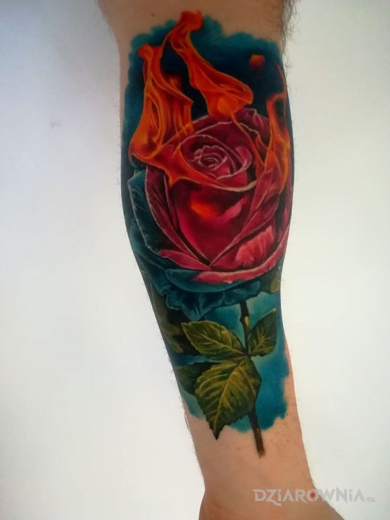 Tatuaż róża w płomieniach - kolorowe