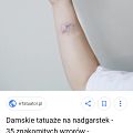 Wybór studia - Minimalistyczna akwarela - kto?