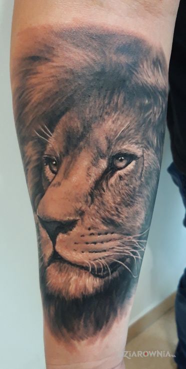 Tatuaż lew - 3D