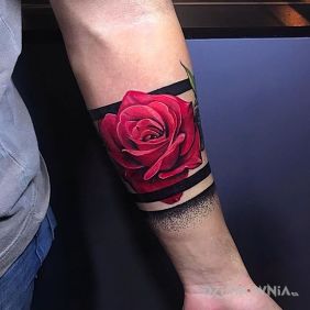 Róża, czerwona róża