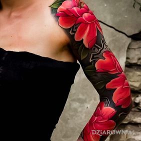 Kwiaty w kolorze czerwieni