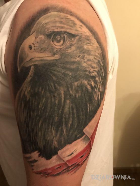 Tatuaż orzeł - zwierzęta