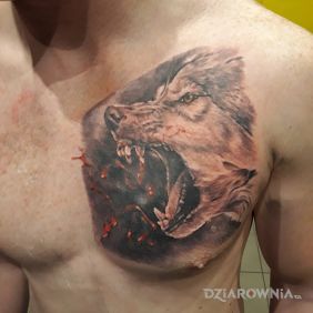 Część 1 - wszaaaa.     C. D. N...