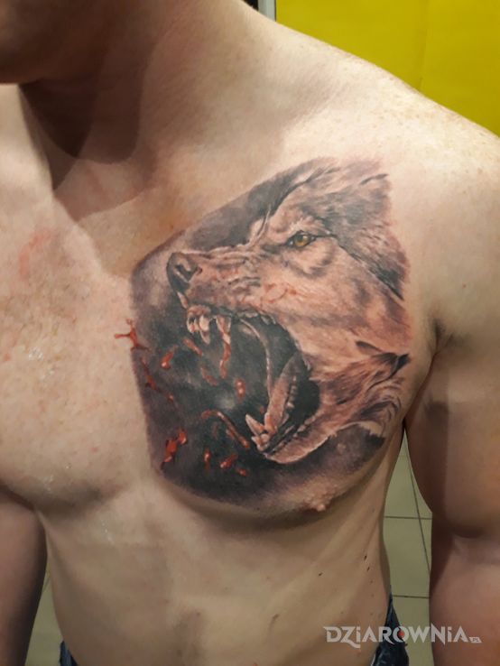 Tatuaż część 1 - wszaaaa     c d n - zwierzęta