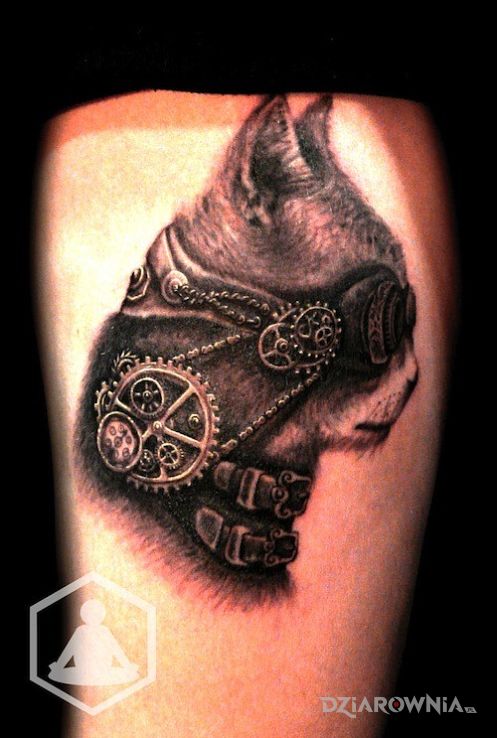Tatuaż steampunk i kot - zwierzęta