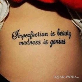 Niedoskonalosc i szalenstwo