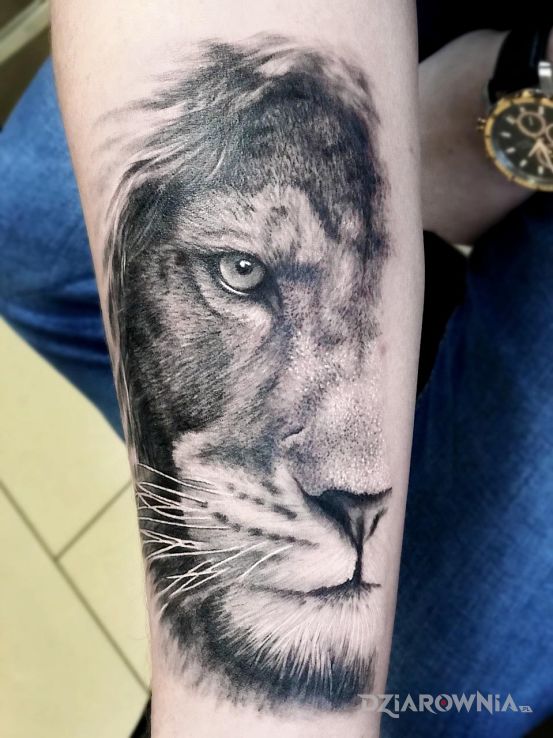 Tatuaż lew - zwierzęta