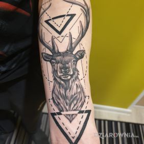 Pierwszy ale nie ostatni ?