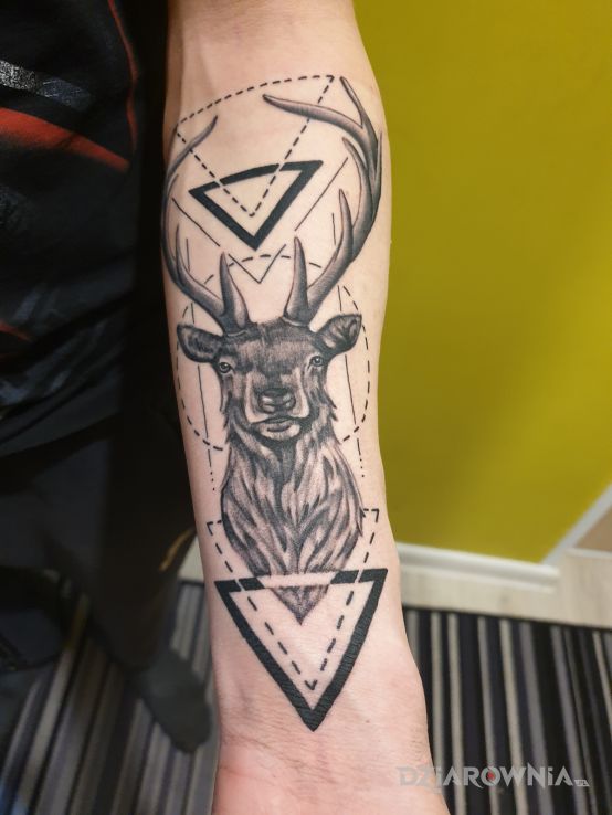 Tatuaż pierwszy ale nie ostatni - zwierzęta