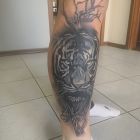 Tygrys wśród drzew