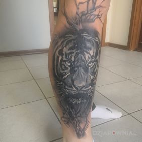 Tygrys wśród drzew