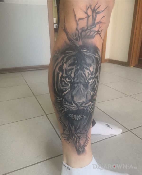 Tatuaż tygrys wśród drzew - zwierzęta