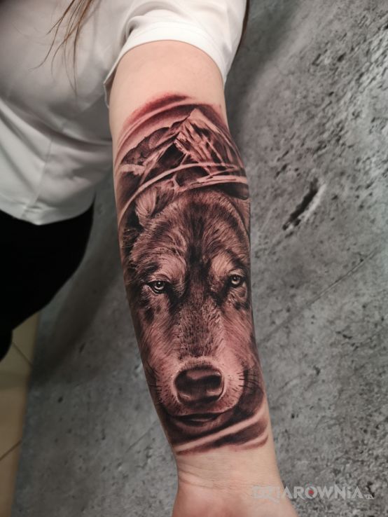 Tatuaż wilkor - realistyczne